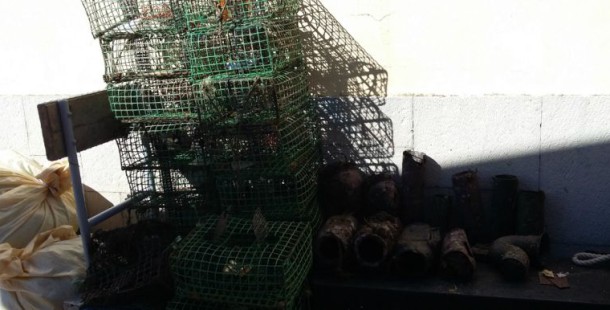 pesca