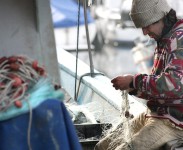 pesca