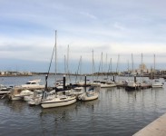 Administração dos Portos de Sines e do Algarve