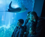 Oceanário