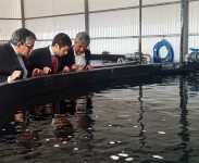 aquicultura