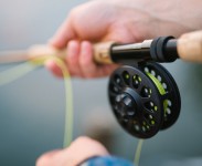 pesca lúdica