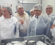 pescadores