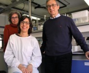 antibiótico