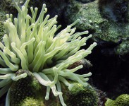 biodiversidade