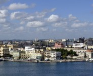 Adonia