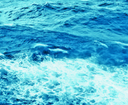 Curso de Gestão Marinha e Costeira