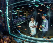SeaSim