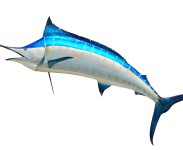 Pesca grossa