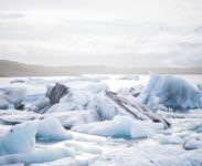 Clean Arctic Alliance