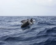 Our Ocean