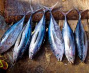 Agrifish