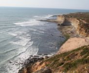 Liga MEO Surf