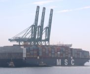 MSC